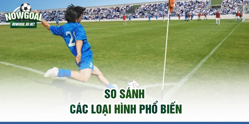 So sánh các loại hình phổ biến